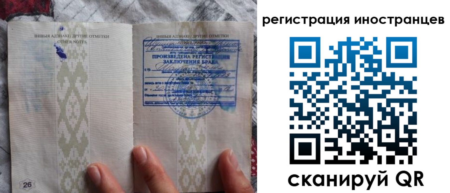 прописка для школы в Новочеркасске